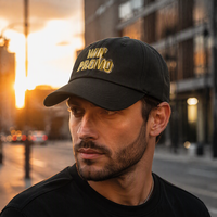 Casquette de baseball personnalisée à 6 panneaux en coton, style Dad Hat, avec logo brodé en 3D, streetwear personnalisé, casquette de sport anti-UV
