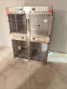 Gabbia di Lusso per Animali Domestici, Grande Box in Acciaio Inox per Cani e Gatti, Uso Ospedaliero e Domestico, Produttore di Gabbie Veterinarie - Product Image 2