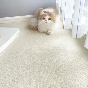 Solid Color Area Rug Rectangle Non Slip Cut To Size For Bedroom Living Room Office Bay Window - Product Image 3
