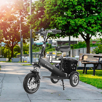 Scooter électrique à trois roues pour adultes, pour femmes, mini, pour le ramassage et la livraison, personnalisable, 25-35 km/h, 150 kg, 50 km/h, batterie 8-13