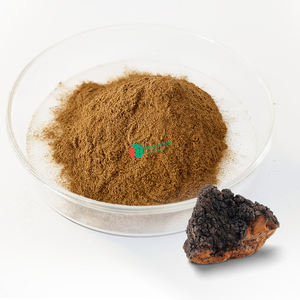 Herspirit Organik Çaga Mantarı Tozu %50 Polisakkaritler Suda Çözünen Çaga Mantarı Ekstresi - Product Image 1