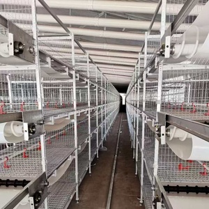 Pouliche galvanisée à chaud avec batterie automatique à 4 niveaux en forme de H, cage d'élevage de poulets de chair au meilleur prix, durée de vie de 20 ans - Product Image 6