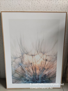 Classical Handmade UV Printed <strong>Botanical</strong> Wall Art <strong>Prints</strong> for Home Decor Bedroom &amp; Living Room <strong>Frame</strong> - Product Image 5