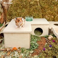 Ruang rumah Hamster labirin:-multi-kamar Hideout & terowongan menjelajahi mainan untuk Hamster Gerbils tikus lemming