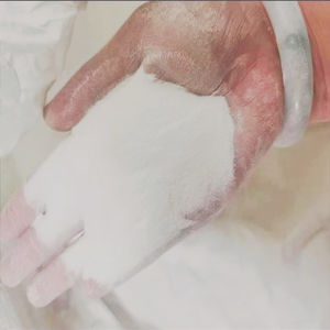 Bicarbonato de Sodio 99% de Pureza, Bicarbonato de Sodio de Alta Calidad CAS 144-55-8 a buen precio - Product Image 1