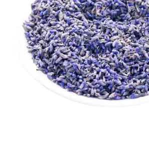 ซื้อดอกลาเวนเดอร์ชาดอกจาก Lavandula Angustifolia สำหรับชาดิบ