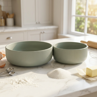 Ensemble de bols de camping en céramique et porcelaine légers, écologiques, résistants à la chaleur, de luxe classique, personnalisables en usine, vente chaude