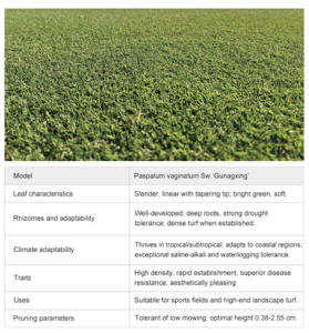 <span class=keywords><strong>Erba</strong></span> Sintetica Naturale Ecologica ad Alta Densità, Durevole, Morbida e a Rapida Germinazione per Campi Sportivi Indoor/Esterni - Product Image 4