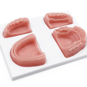 Anatomical Model <b>Oral</b> Cavity & Head with Four-tooth Suture Practice Module for <b>Oral</b> <b>Therapy</b> <b>Equipment</b> & <b>Accessory</b> Export - Product Image 1
