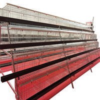 Cages à poules pondeuses personnalisées résistantes à la chaleur – Cage en batterie pour poules pondeuses
