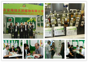 Aceite esencial de vainilla de alta calidad natural con fragancia de larga duración de 10ml utilizado para mezclar aromaterapia, perfumes y cuidado de la piel - Product Image 6