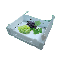 Boîte en plastique ondulé pour la conservation des produits frais, emballage agricole en plastique avec trous de ventilation pour le transport des produits frais