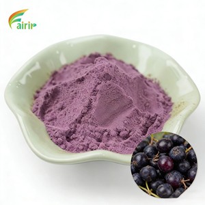 Poudre d'aronia (chokeberry) violette fine <span class=keywords><strong>de</strong></span> Fairir Factory Direct, <span class=keywords><strong>prix</strong></span> réduit, pour boissons et colorant naturel, OEM/ODM - Product Image 1