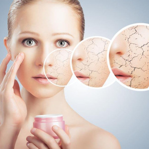 ブドウ种子エキス95% OPC | 天然ポリフェノール | 植物ベースの抗酸化粉末 | 食品グレード | バルクサプライ - Product Image 6