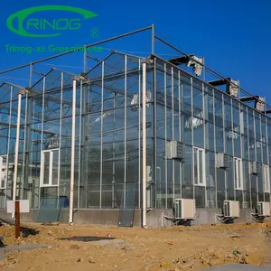 Trinog Gewächshaus Venlo Aluminium rinne Multis pan landwirtschaft liche Faser Gewächshaus Gewächs häuser zu verkaufen