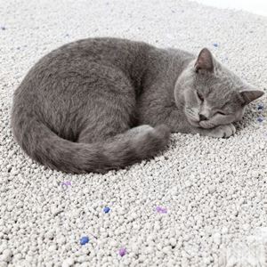 ทรายแมวเบนโทไนต์ ปลอดฝุ่น จับตัวเป็นก้อนเร็ว เป็นมิตรต่อสิ่งแวดล้อม สีเทา 5 กก. รูปทรงกลม - Product Image 1