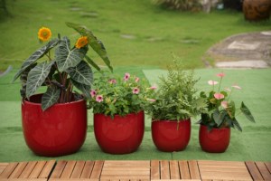 Ensemble de pots à fleurs en céramique de style américain, design en forme d'œuf rouge brillant, finition émaillée, trou de drainage, respectueux de l'environnement - Product Image 3