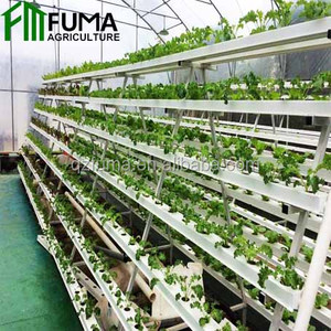 Torre Aeropónica Vertical para Cultivo Interior en Balcón, con Diseño de Fresa, Flor y Piña, 288 Orificios, Sistemas de Cultivo Hidropónico con Luz LED - Product Image 6
