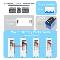 Batterie LiFePO4 51,2V murale 314Ah, protection IP55, sortie 5-16Kw pour système solaire, appareils électroménagers, stock UE