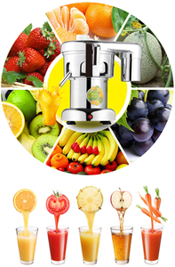 自動オレンジジューサーマシン/業務用ジュース抽出機価格/業務用ニンジンジューサー抽出機 最高のオレンジジューサー - Product Image 5