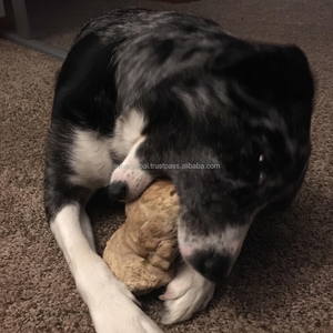 เคี้ยวของเล่นสำหรับสุนัขกัดรากเล็กๆสำหรับลูกสุนัขบรรเทาความเครียดจากธรรมชาติกาแฟไม้เคี้ยวของเล่นจากเวียดนามผู้ผลิต ODM MOQ ต่ำ - Product Image 1