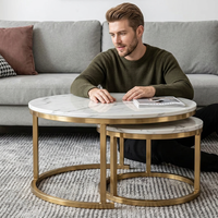 Ensemble de 2 tables basses gigognes en métal, style moderne et luxueux, en acier inoxydable doré, rondes, pour le salon