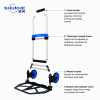 Chariot à bagages fermé robuste avec capacité de charge de 100 kg, roues de 7 pouces, utilisation industrielle et commerciale, personnalisable OEM