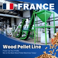 RICHI Moulin à granulés de bois clé en main - France 3-4T/H Machine complète pour granulés de bois avec matrice annulaire horizontale