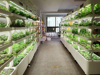 Offre spéciale Jardinière d'intérieur à led intelligente pour la culture de microgreens et système hydroponique complet pour serre verticale