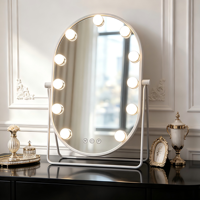 Oval Metal+Glass LED Cosmetic Mirror with 11 Dimmable Light Sources Touch Switch Magnifying Feature Desktop Use