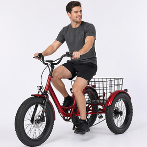 <span class=keywords><strong>Triciclo</strong></span> Eléctrico para <span class=keywords><strong>Personas</strong></span> <span class=keywords><strong>Mayores</strong></span>, <span class=keywords><strong>Triciclo</strong></span> Eléctrico con Llantas Gruesas de 20" x 4.0, Batería de Litio de 36V 13Ah, <span class=keywords><strong>Triciclo</strong></span> Eléctrico de Carga - Product Image 3