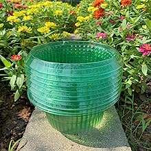 Plastique PET limace escargot barrière jardin cloches plante chapeau escargot limace colliers vert escargot pièges schnecken <span class=keywords><strong>schutz</strong></span> - Product Image 3
