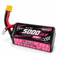 Batterie LiPo 4S6S haute performance 120/140/160/180/200C pour drones de course FPV et quadricoptères RC, batteries lithium-ion Enrichpower