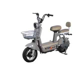 2024 Schlussverkauf Erwachsene 48V 14-Zoll 350W Elektrofahrrad Motorrad