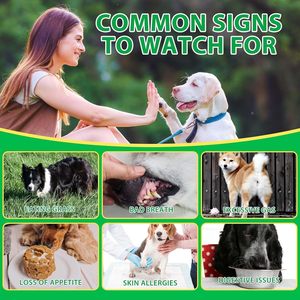 Probióticos para Perros con Prebióticos, Marca Privada OEM ODM, Promueve un Microbioma Intestinal Equilibrado, Refuerza la Salud Inmunológica, Masticables Blandos - Product Image 5