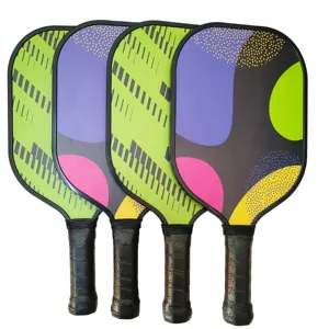 Conjunto de 4 palas pickleball de grafito o fibra de vidrio, diseño ligero de moda, precio de fábrica