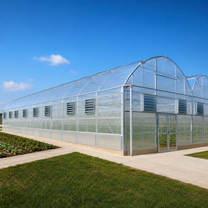 Serre en film multi-spans personnalisée pour la production commerciale de légumes, l'agriculture hydroponique et les projets d'agriculture intelligente - Product Image 1