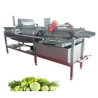 Groente & Fruit Processing Machines Salade Groente Productielijn Quick Bevriezing Verwerking Machine