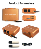 Bosstar coréen amplificateur voiture Audio karaoké Ktv avec voiture sans fil Microphone Dsp amplificateur de puissance pour Android stéréo