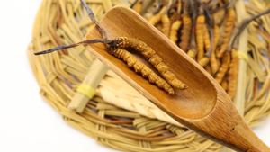 <span class=keywords><strong>100</strong></span>% органический пищевой кордицепс <span class=keywords><strong>Sinensis</strong></span> сушеный травяной порошок банка диковыращенный Тибет высококачественный натуральный гриб бутылка - Product Image 4