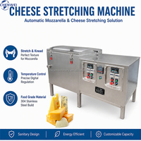 Machine à étirer le fromage de qualité sanitaire à haute efficacité pour la transformation de la mozzarella