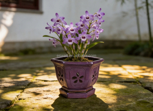 <span class=keywords><strong>Pots</strong></span> d'orchidées hexagonaux ventilés, <span class=keywords><strong>pots</strong></span> de cymbidium, <span class=keywords><strong>pots</strong></span> de dendrobium pour la décoration intérieure ou extérieure - Product Image 3