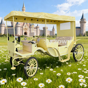 รถม้าชมวิวไฟฟ้าสุดหรูพร้อมหลังคาขนาดใหญ่ สีเหลือง สำหรับงานแต่งงาน - Product Image 4