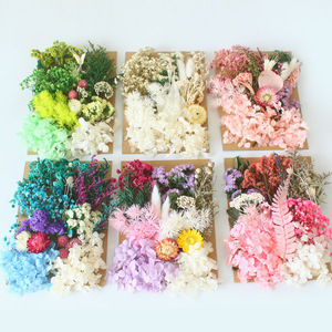 Fleurs et feuillage séchés, hortensias et gypsophile préservés pour la fabrication de bougies, la fabrication de savons et le nail art - Product Image 2