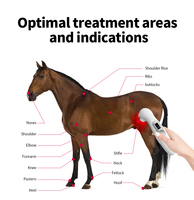 Appareil de biothérapie thérapie au laser portable 808nm 650nm lllt dispositif de thérapie au laser anti-douleur pour animaux