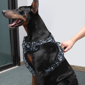 Conjunto de arnés para perro de poliéster XL con estampado sólido personalizado, correa de cuello de neopreno de PVC, deporte impermeable para viajes al aire libre, moda - Product Image 2