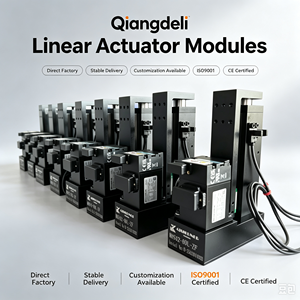 โมดูลแอคชูเอเตอร์เชิงเส้น Qiangdeli กระบอกสูบไฟฟ้าแบบลูกสูบ ตัวเรือนเหล็ก 24V-48V ได้รับการรับรองมาตรฐาน CE ISO9001 - Product Image 1