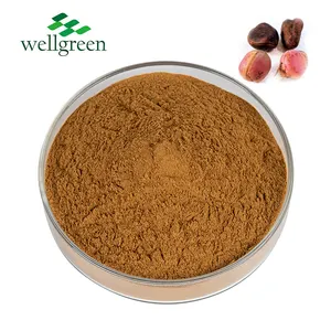 Wholesale Pure Nature Plant Bitter Cola Seed Bulk Supply Kola Nut Extract Powder