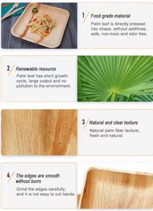 Platos Desechables Ecológicos de Hoja de Palma Areca de 8/6.5/5.5/4/3/2.8 Pulgadas, Vajilla Hecha de Bambú - Product Image 3