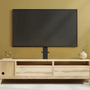 Smart TV Rack Furniture Compact Motorized TV Lift Mechanism Stand Electric TV Wall Mount